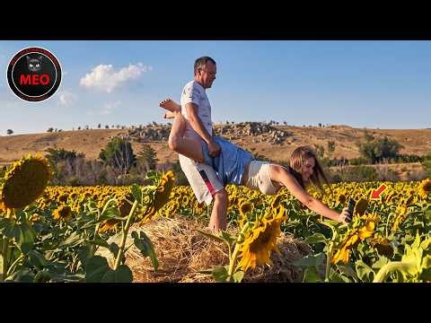 Moments When Things Went Wrong (P241) | Idiots at Work & Instant Regret Fails Compilation