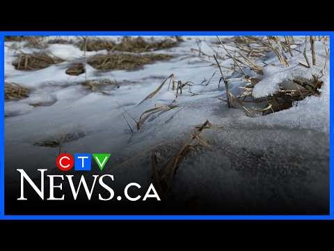 Farmers weigh in on how spring conditions are impacting agriculture