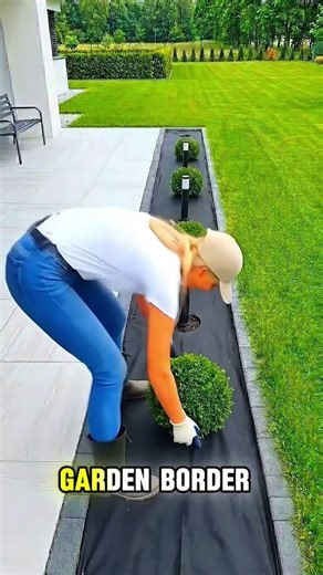 ​The Ultimate Zero-Maintenance Landscaping Hack! 🪨✨