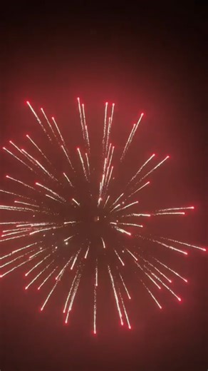 2.5 Inch 30 Shots Display Shells Cake #fireworks #fireworksdisplay #pyrography #4thofJuly #pyro #fireworkshow | Firework Cloud