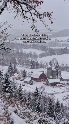 The Magic of a Fresh Coat of Snow in December | Cozy Christmas