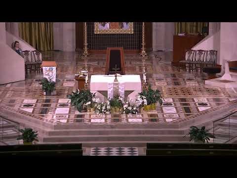 Live from the Cathedral of the Most Blessed Sacrament