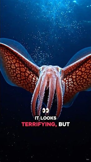 The Terrifying Deep-Sea Creature That Looks Like an Alien! 🦑🌊 #facts #shorts