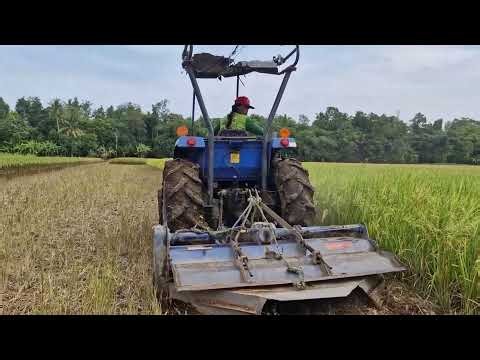 THE EASIEST WAY TO PLOW A RICE FIELD! SMART FARMER TECHNIQUE! - agricultural