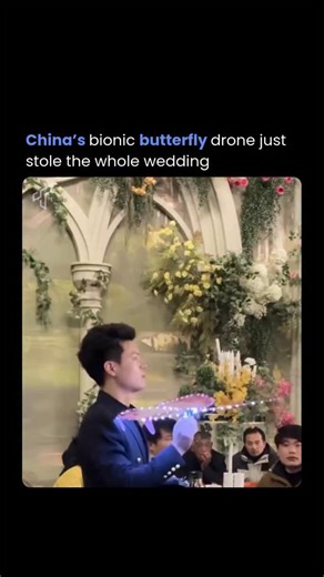Tech Society on Instagram: "China’s bionic butterfly drone just stole the whole wedding. This tiny robotic insect flies silently over the ceremony, captures stunning 4K footage from impossible angles—hovering right above the couple, gliding between guests, even landing on flowers for close-ups. No noisy quadcopters ruining vows, no clumsy drone shadows—just a delicate, butterfly-shaped marvel blending perfectly into the scene. Guests were stunned, the bride & groom got cinematic shots without di