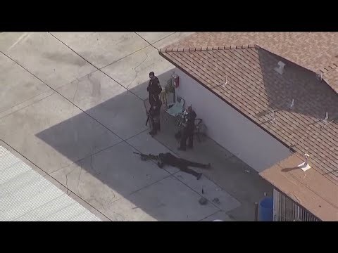 Officials work to remove mountain lion from residential neighborhood in Escondido