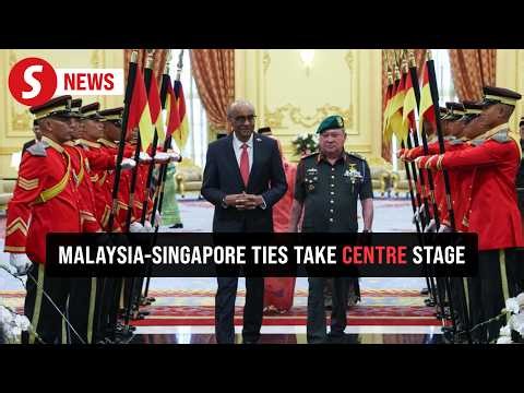 Singapore president accorded state welcome at Istana Negara
