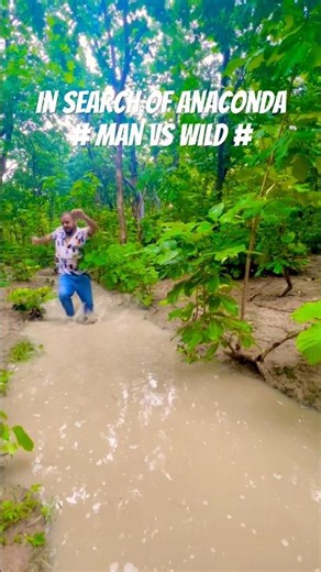 Anaconda in Rainforest | Survival | #shorts #youtubeshorts #survival