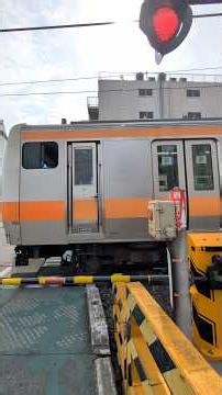 青梅線中新道踏切を東日本旅客鉄道E233系0番台電車がカンカン警報機音と共に2本通過します。 Japanese Railroad Crossing ASMR #shorts