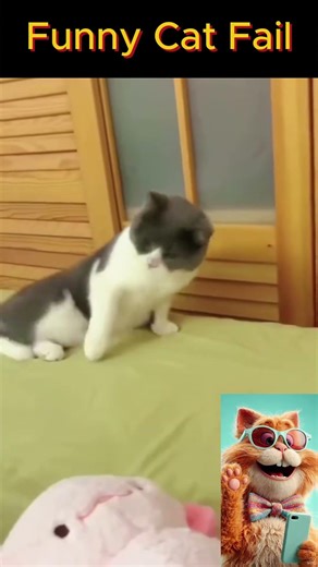 Funny Cat Fails 2026 | Cat Reacts #shorts