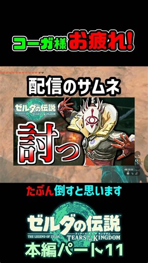 コーガ様お疲れ！【ゼルダの伝説TotK】 #ティアキン #ゼルダの伝説ティアーズオブザキングダム