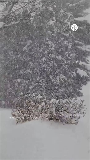 More scenes from Oswego County's relentless lake-effect event. This footage from Friday shows a Fulton hotel parking lot completely transformed as visibility dropped below a quarter mile. Snowfall rates were hitting 2-3 inches per hour when this was filmed. 😬 | WeatherBug