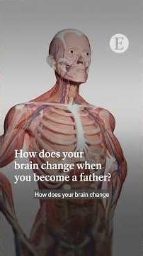 How does your brain change when you become a father? | The Economist