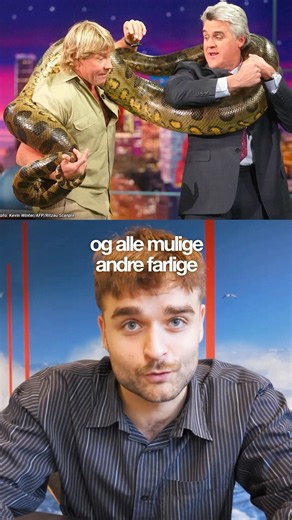 Har du hørt om Steve Irwin?🐊🐊 #ultranyt