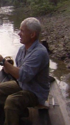 Powerful River Fish Explained: Jeremy Wade’s Top Rivermonsters