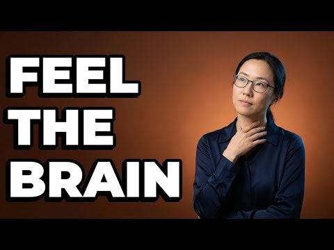 What Is The Role Of Haptic Feedback In Neurofeedback?