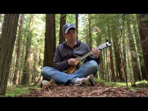 Mandolin Live in the Redwood Forest - Song 3