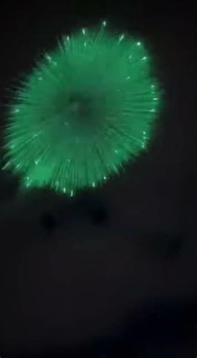 Is this a secret test or an alien craft?