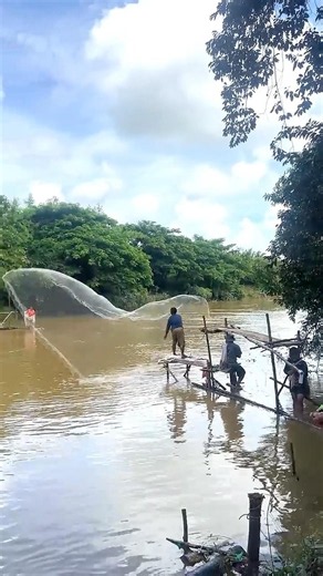 Real Life 100% Cast Net Fishing In River At The Countryside (Part 1605) #fishing #fish #new