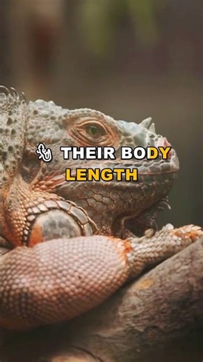 Chameleons Can Kill You in 3 Seconds Without Seeing It
