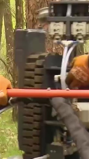 Revolutionary automated tree trimming machine: Precision delimbing for high-quality wood!