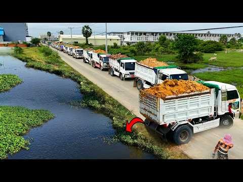 Amazing Dump Truck unloading, Processing Filling Up The Land, Bulldozer Komatsu d31p