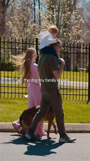 Protection Dogs That Do Both: Family Safe & Fully Trained