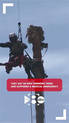 Tree trimmer rescued