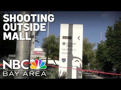 Shooting in Valley Fair parking lot