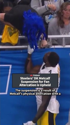 Steelers’ DK Metcalf Suspension for Fan Altercation is Upheld