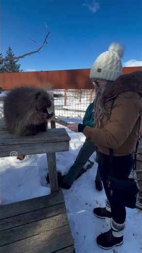 Alaska Spring Break 2026 Recap