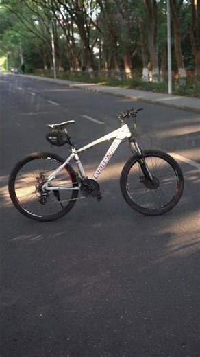 Best Budget Long Range EBike | DIY LVBU KD40S Conversion | High Value Electric Bike! #ebike