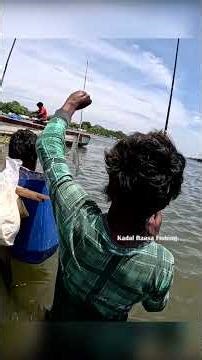 Maida Bait + Triple Hook Setup | Big Mullet Fish Rod Fishing #fishing #fish #fishingequipment