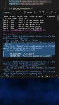 Is Your Python Code Safe to Ship? Run THIS First
