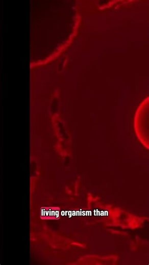 Mind Boggling UFO Movements Revealed