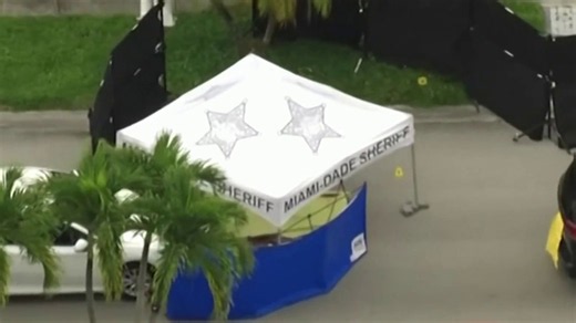 Video shows deadly shooting with law enforcement agent
