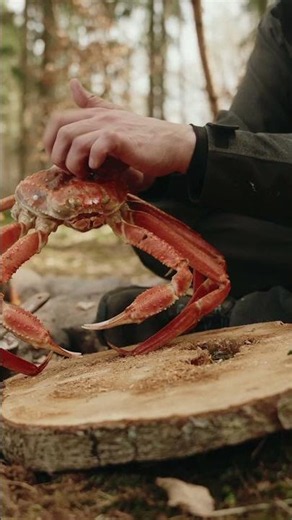 I turned snowcrab into crispy seafood popcorn. 🦀🍿🔥 #crab #asmr #firekitchen #sizzle