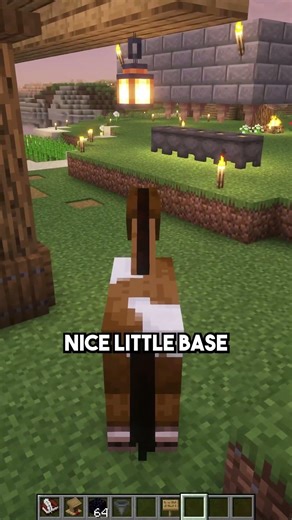 TURNING MYSELF INTO A HORSE