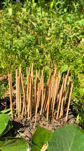 These Camping Hacks Will Transform Your Next Adventure | 5-Minute Crafts Family