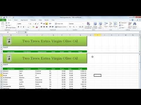 Freezing panes in Excel