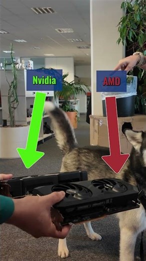 Die ewige Diskussion: AMD vs. Nvidia endgültig geklärt! 🐶