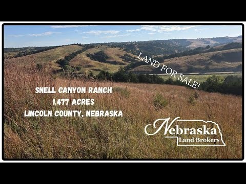 Snell Canyon Ranch, Lincoln County Land For Sale!