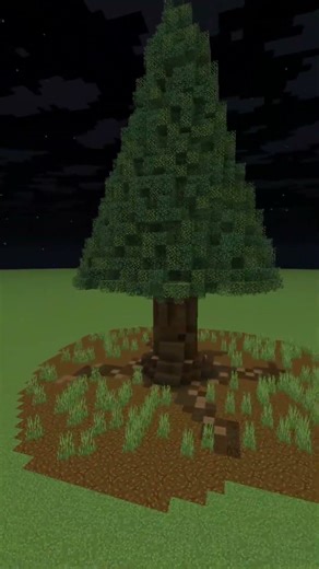 Custom giant spruce tree