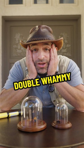 Coyote Peterson sting anniversary double whammy