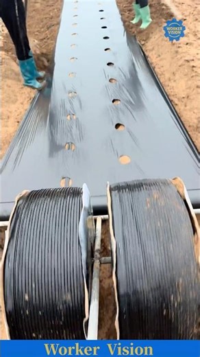 Worker Harmony 🌾 Team Power in Nature’s Field — Smart Plastic Mulch Setup!#farming