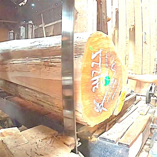 Unbelievable! Hand Pushing Massive Timber #wood #worker #amazing | Sawmill & Woodworking