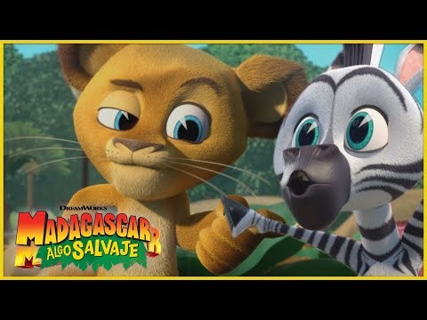¡¡La pandilla se va a Nueva York!! 🗽😲 | DreamWorks Madagascar en Español Latino