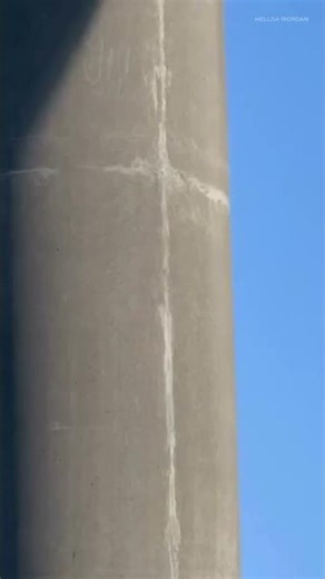 Baby duck belly flops into Willamette River