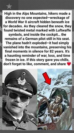 Missing WWII Pilot Found After 82 Years Frozen in Silence