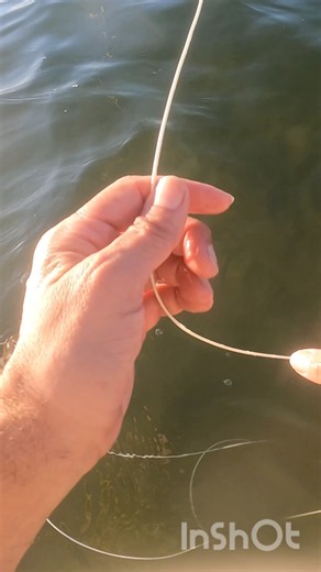 Hypnotic Fly Fishing Retrieves That Work #flyfishing #flyfishinglife #flyfish #saltwaterflyfishing